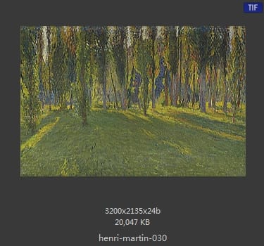 Henri Martin