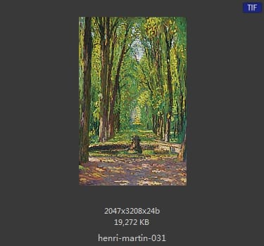 Henri Martin