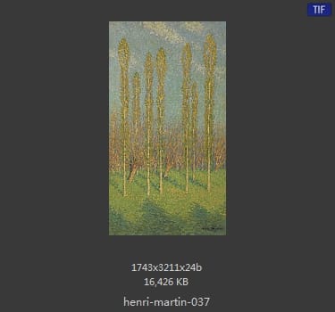 Henri Martin