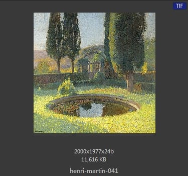 Henri Martin