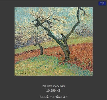 Henri Martin