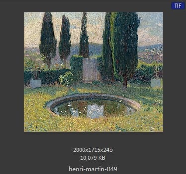 Henri Martin