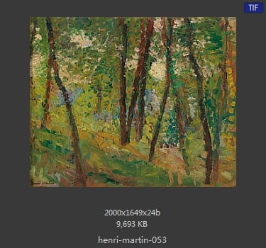 Henri Martin
