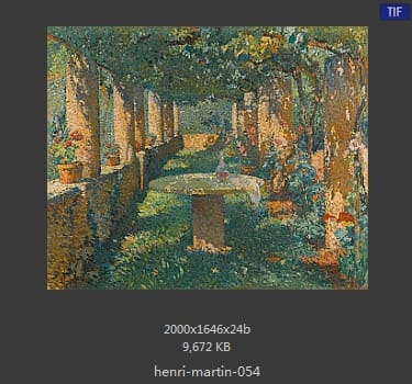 Henri Martin