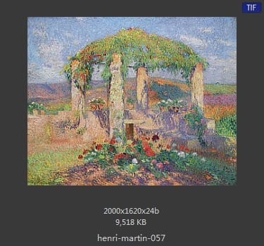 Henri Martin