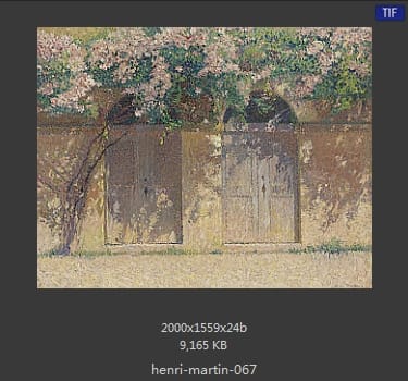 Henri Martin