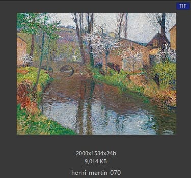 Henri Martin