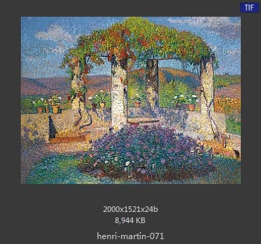 Henri Martin