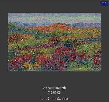 Henri Martin