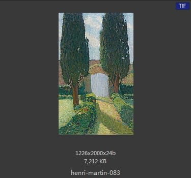 Henri Martin