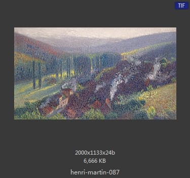 Henri Martin