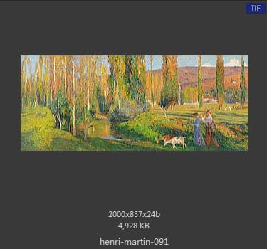 Henri Martin