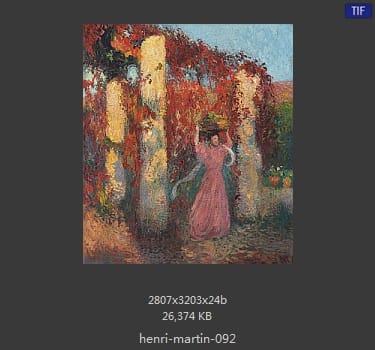 Henri Martin