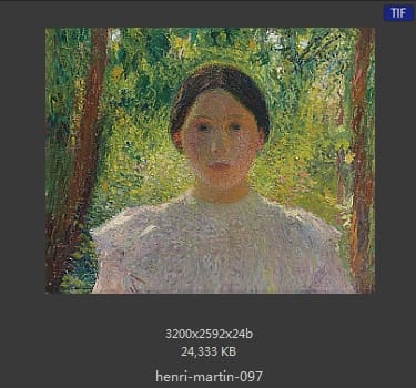 Henri Martin