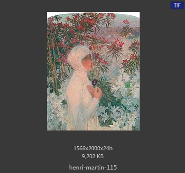 Henri Martin