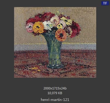 Henri Martin