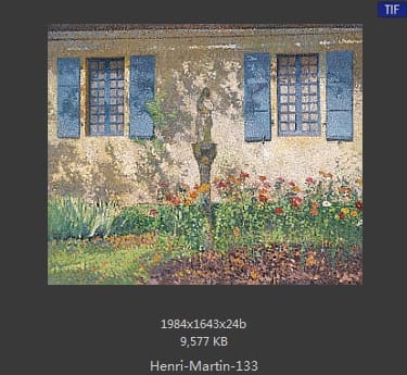 Henri Martin