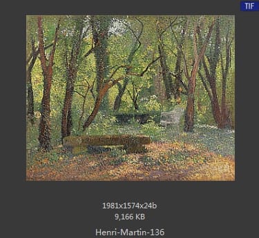 Henri Martin