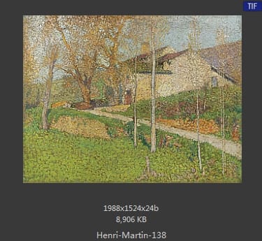 Henri Martin