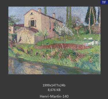 Henri Martin