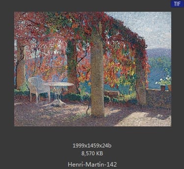 Henri Martin