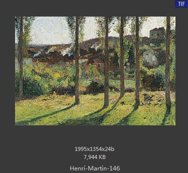 Henri Martin