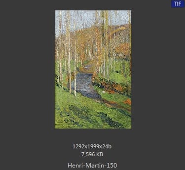 Henri Martin
