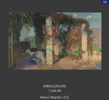 Henri Martin