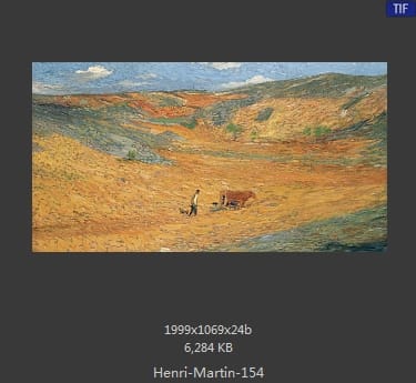 Henri Martin