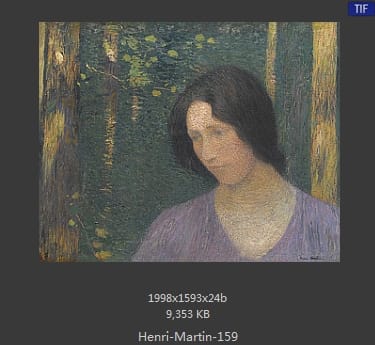 Henri Martin