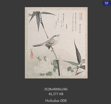 蹄斋北马
