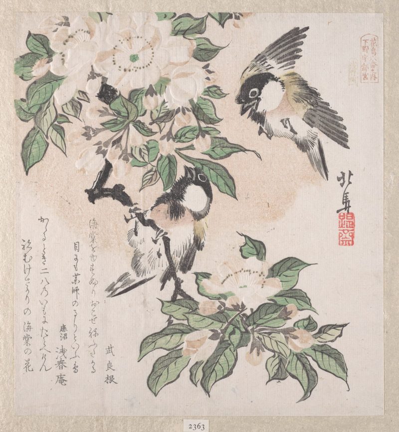 蹄斋北马 #9