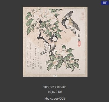 蹄斋北马
