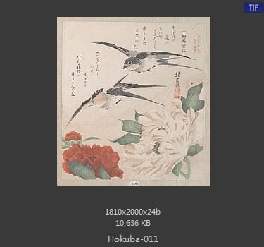 蹄斋北马