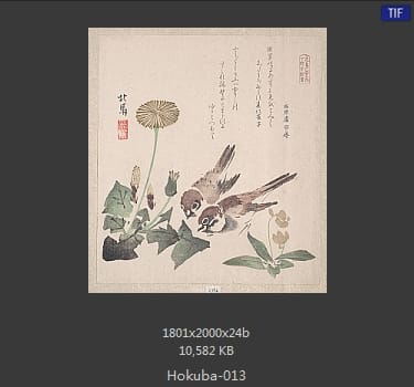 蹄斋北马
