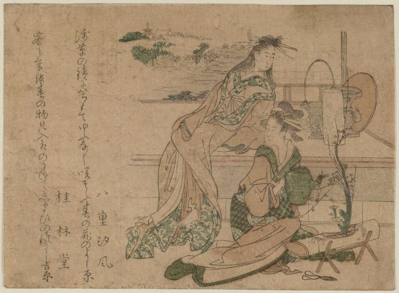 蹄斋北马 #19