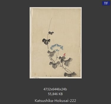 Katsushika Hokusai