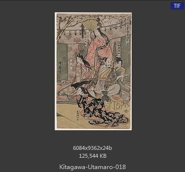 喜多川歌磨