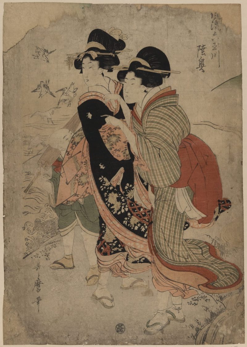 喜多川歌磨 #51