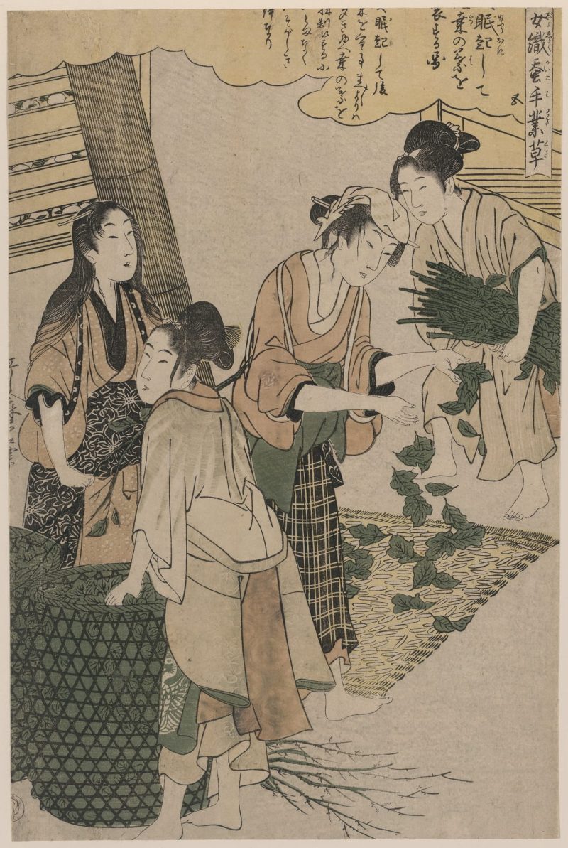 喜多川歌磨 #75