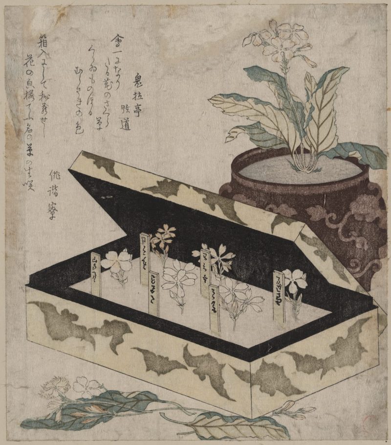 漥俊满 #17