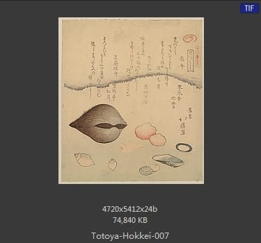 鱼屋北溪