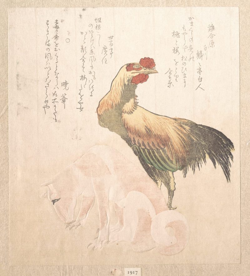 鱼屋北溪 #19