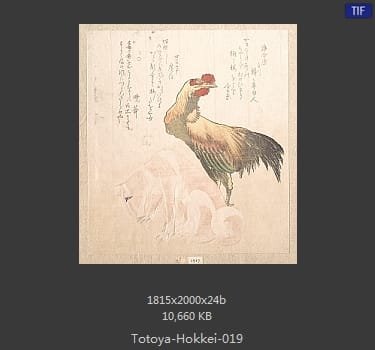 鱼屋北溪