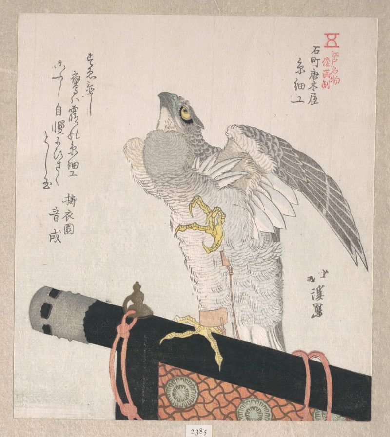 鱼屋北溪 #21