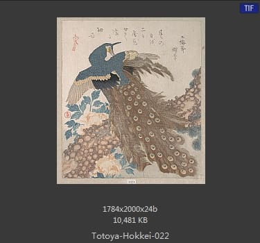 鱼屋北溪