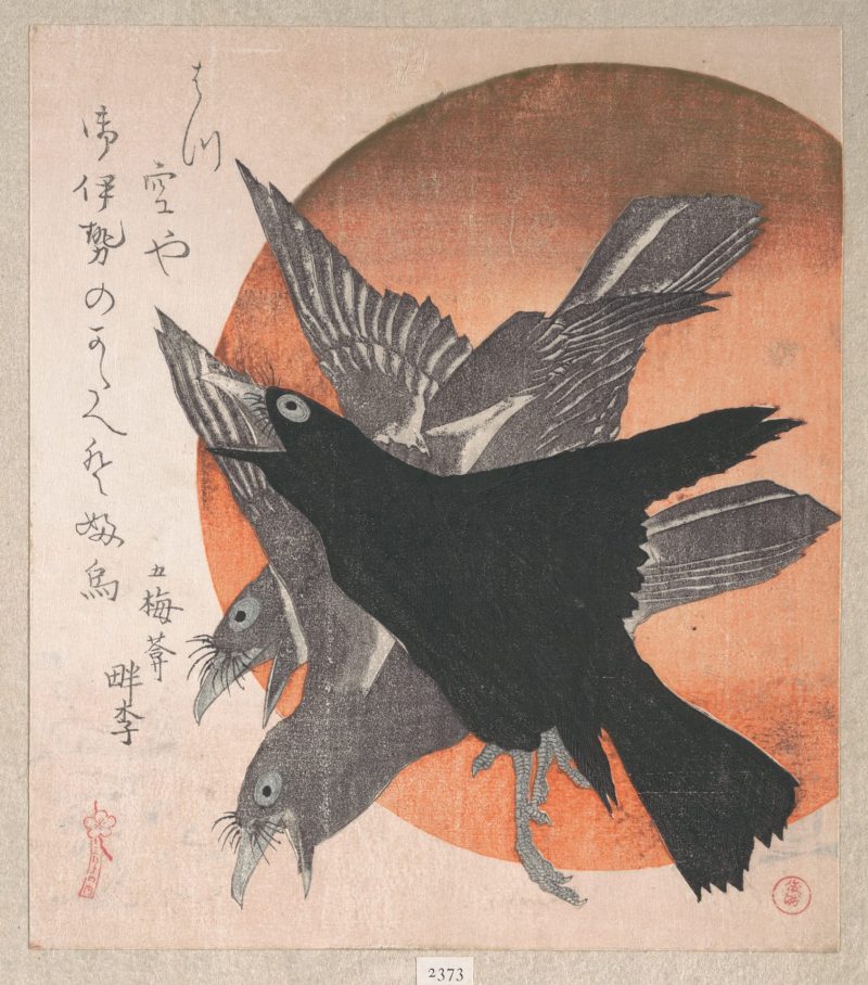 鱼屋北溪 #25