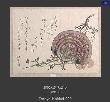 鱼屋北溪