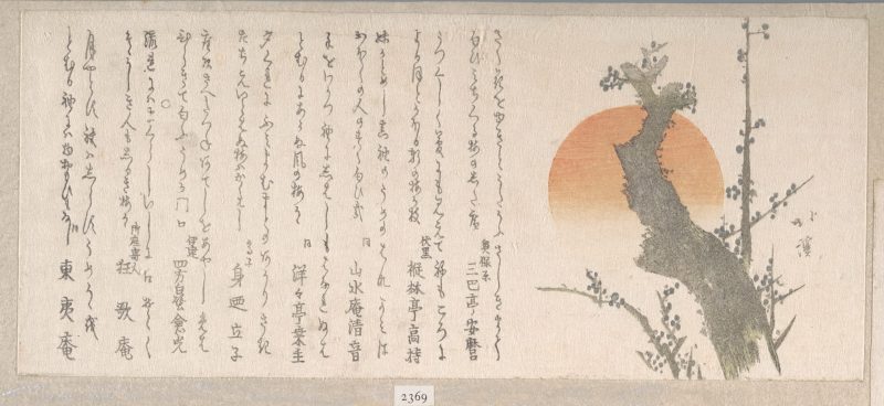 鱼屋北溪 #33