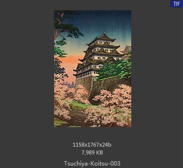土屋光逸